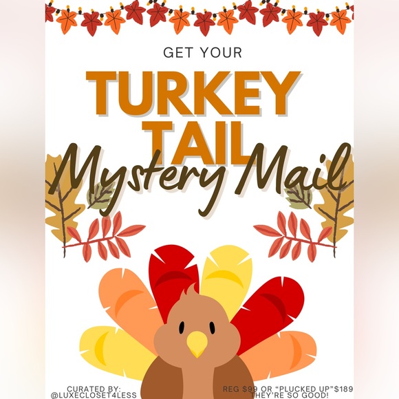 Other - Turkey Tail Mystery Mail (Regular)